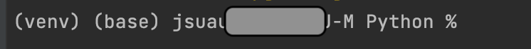 how python environment displays in terminal